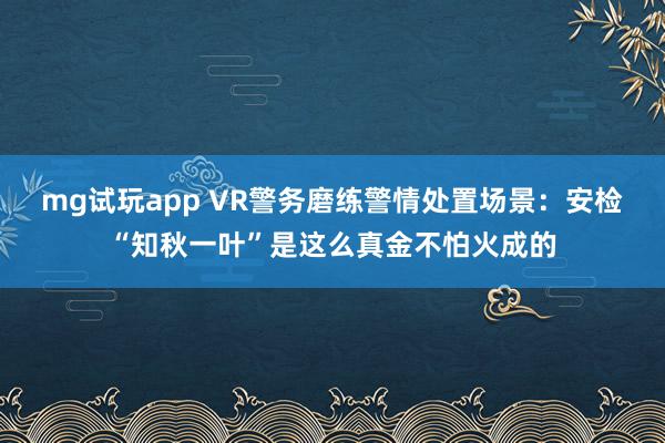 mg试玩app VR警务磨练警情处置场景：安检“知秋一叶”是这么真金不怕火成的