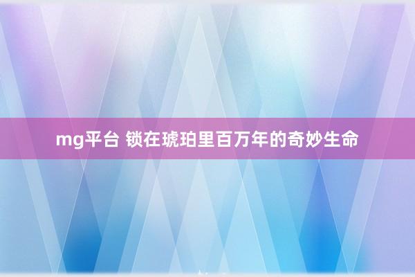 mg平台 锁在琥珀里百万年的奇妙生命