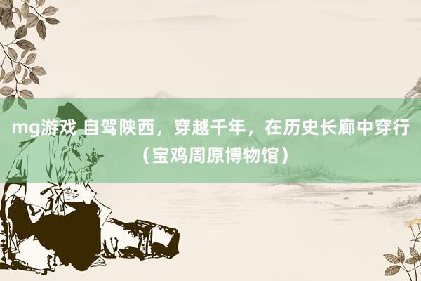 mg游戏 自驾陕西，穿越千年，在历史长廊中穿行（宝鸡周原博物馆）