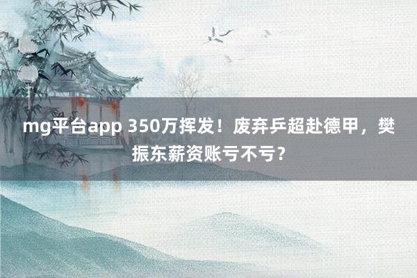 mg平台app 350万挥发！废弃乒超赴德甲，樊振东薪资账亏不亏？