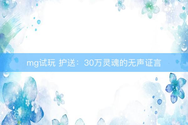 mg试玩 护送：30万灵魂的无声证言